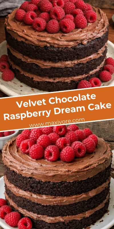 Velvet Chocolate Raspberry Dream Cake